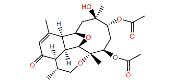 Pachyclavulariaenone E